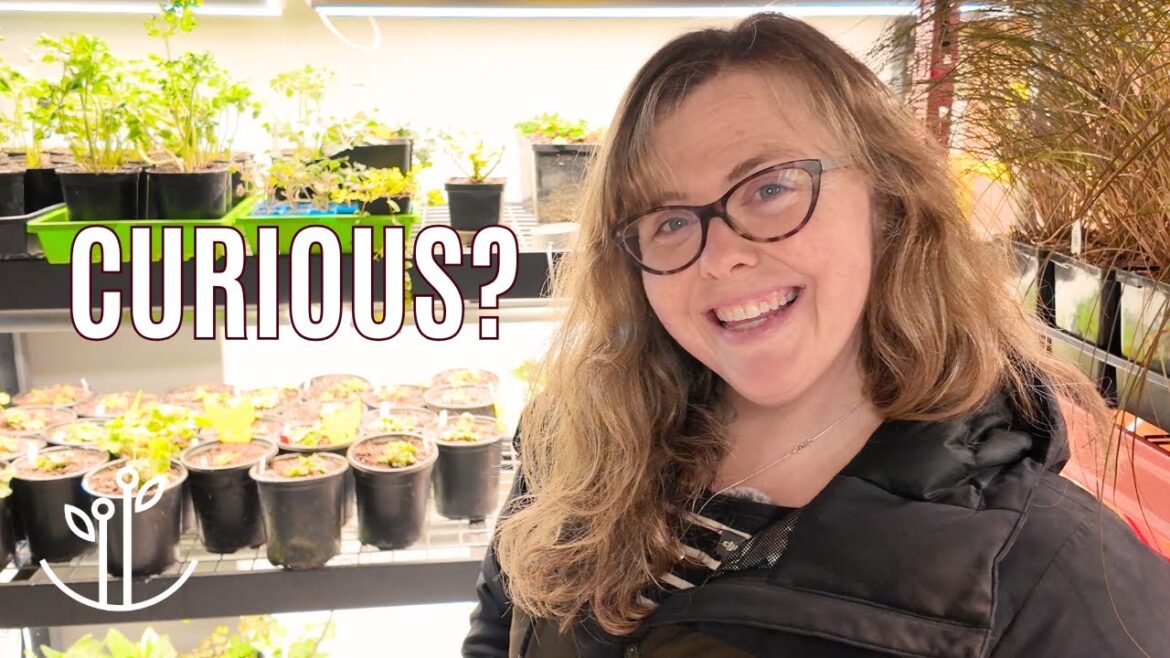 From ‘What’s a Seed Tray?’ to ‘I Have a Greenhouse on My Roof’ | Find your Seed Starting Match! From ‘What’s a Seed Tray?’ to ‘I Have a Greenhouse on My Roof' | Find your Seed Starting Match!