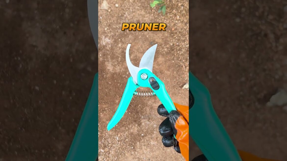 Essential Gardening Tools + Solar Lights for a Stunning Garden