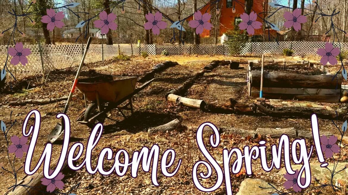 Finally getting outside and getting some garden work done! 🌸 Zone 6 Cottage Garden Vlog Finally getting outside and getting some garden work done! 🌸 Zone 6 Cottage Garden Vlog