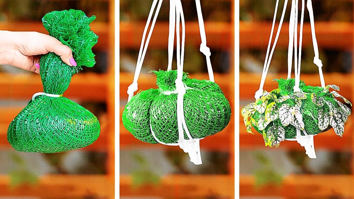 Create a Vertical Garden: DIY Space-Saving Tips for Small Yards