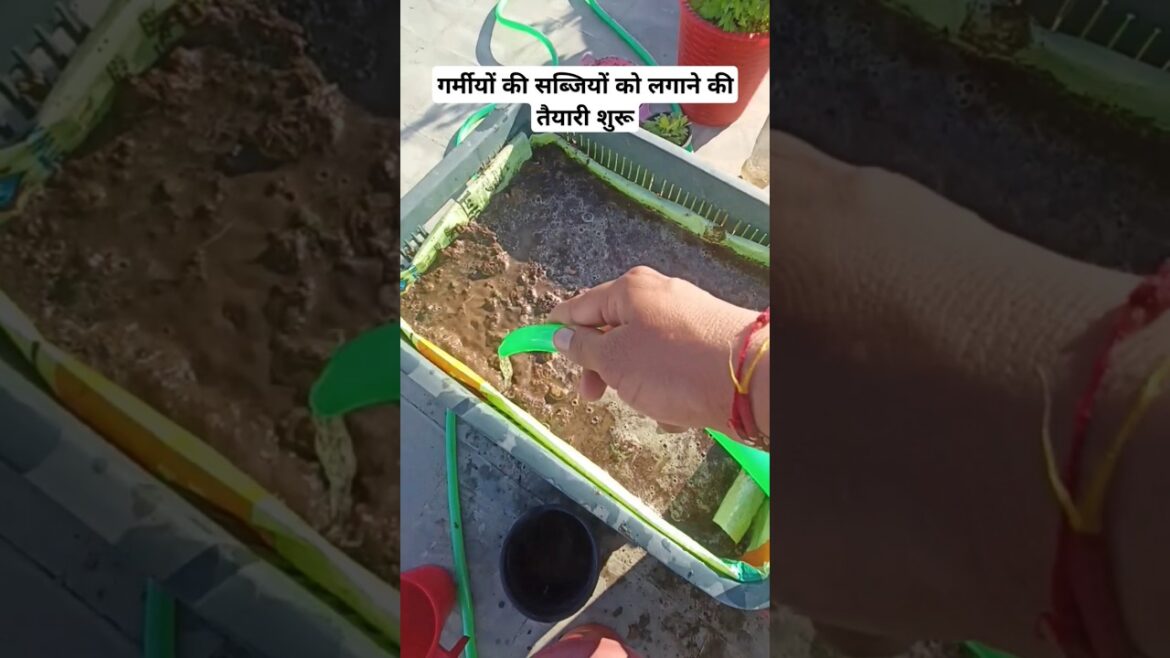 Grow Your FAVORITE Summer Veggies on Rooftop Garden Now! #shorts #gardening