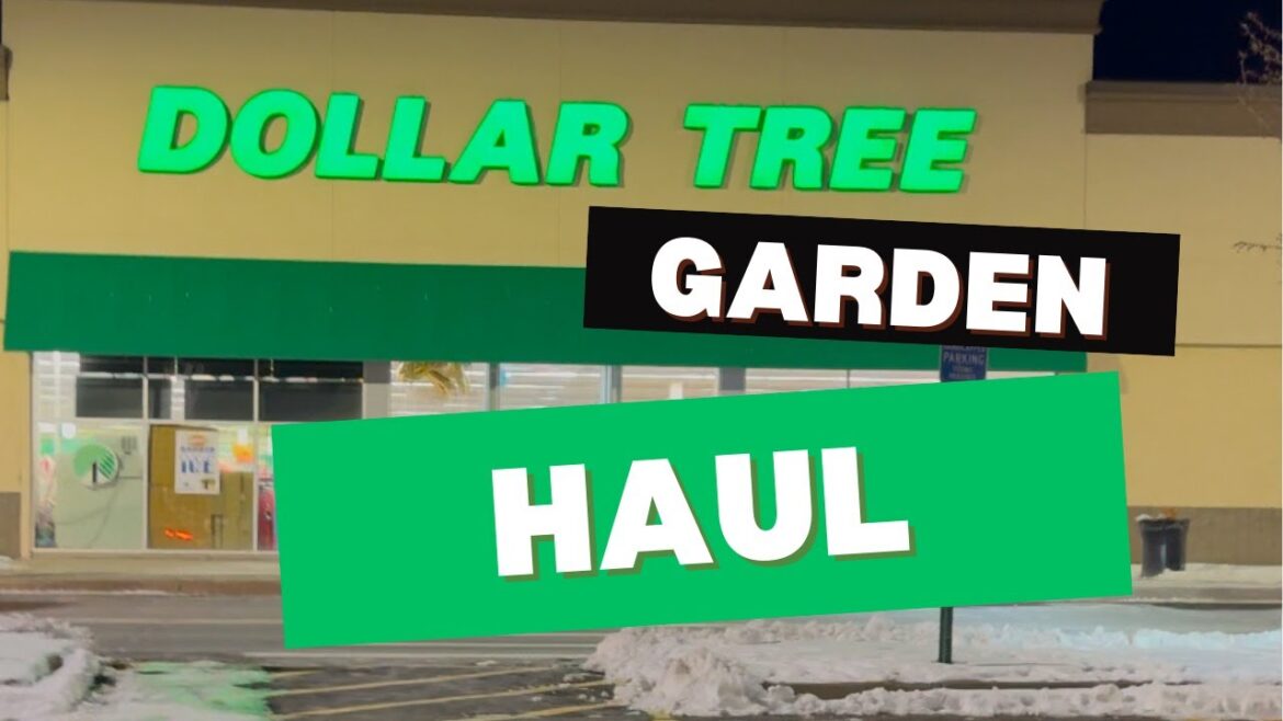 Gardening on a Dime: Dollar Tree Garden Supply MEGA HAUL 🌿💰