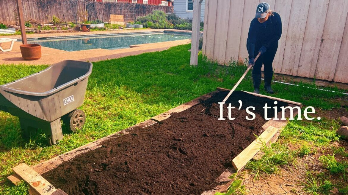 Planning our Farm Stand | Planting the Spring Garden Planning our Farm Stand | Planting the Spring Garden