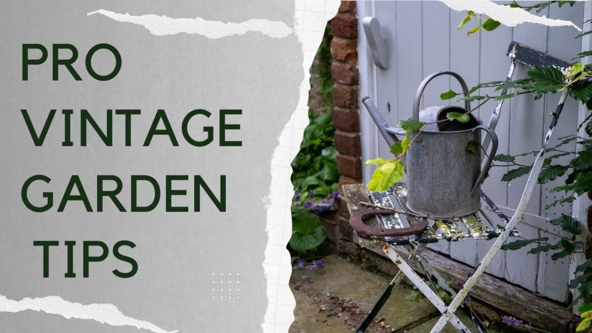 Brilliant vintage and recycled garden ideas – plus pro tips on how and where to find the best items Brilliant vintage and recycled garden ideas - plus pro tips on how and where to find the best items