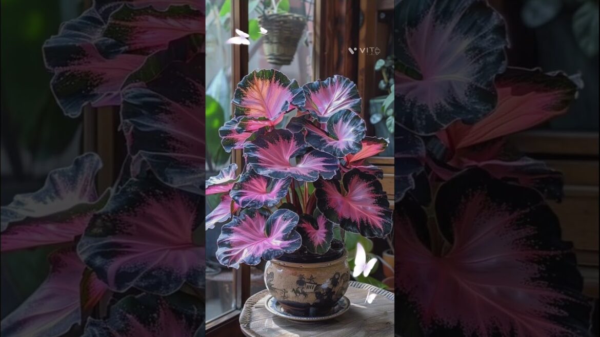 Indoor Plant Decor Trends to Follow for a Stylish Home #plantdecor #indoorplants #trending Indoor Plant Decor Trends to Follow for a Stylish Home #plantdecor #indoorplants #trending