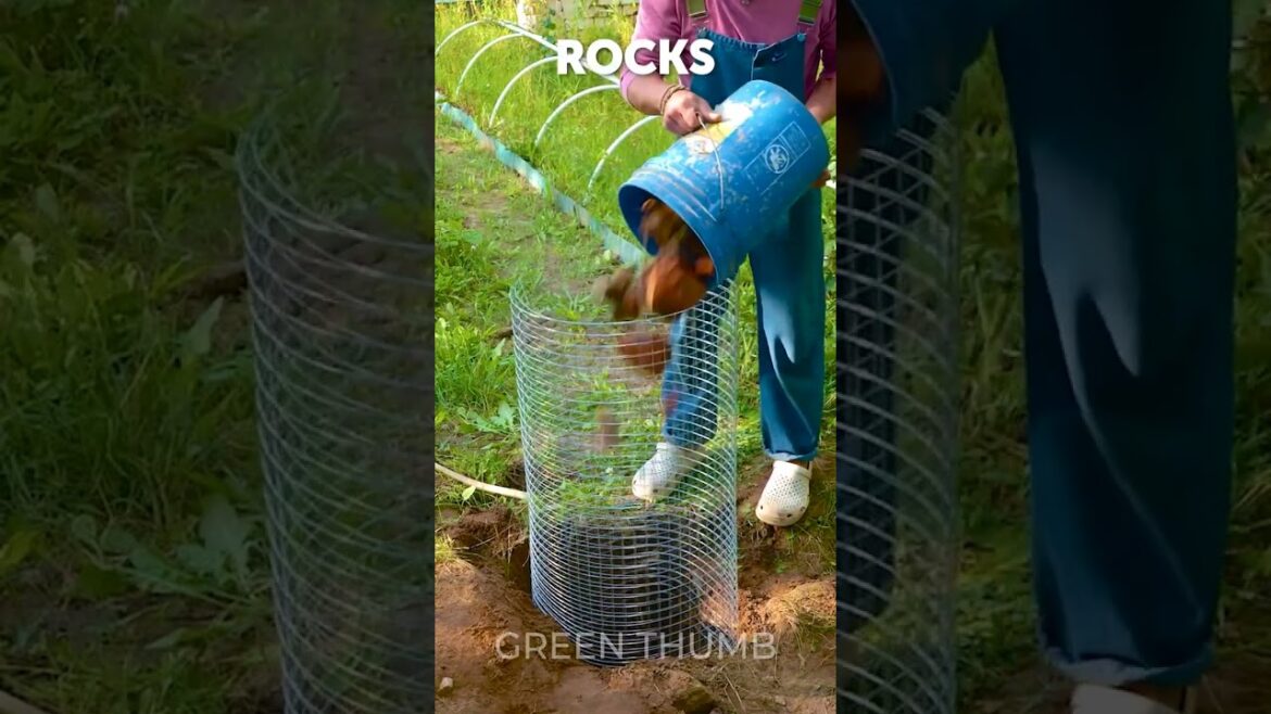 Super Simple TWO Steps To Create Own Outdoor OASIS In Garden ๐ Super Simple TWO Steps To Create Own Outdoor OASIS In Garden ๐