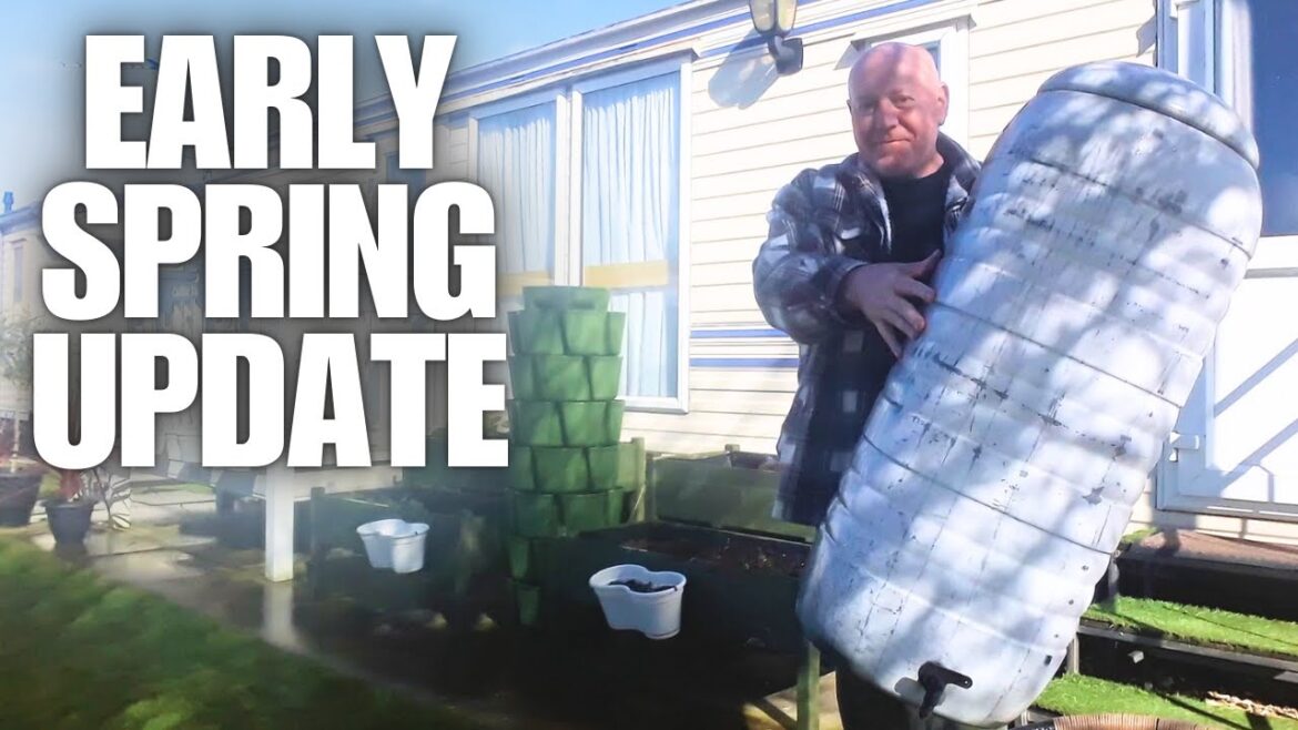Collecting Water For Summer Plus Spring Update [Container Gardening ]