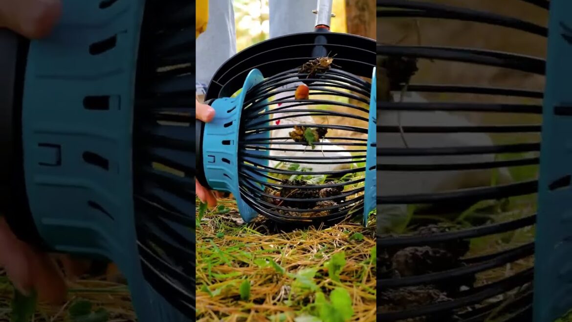 Cool gardening gadgets you can use easily 🏡 #garden #hacks #gadgets