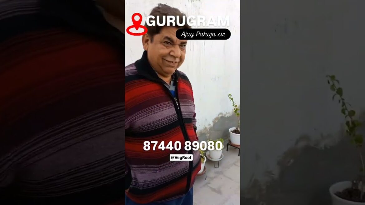 Testimonials of clients - Vertical Vegetable Gardening Veg Roof 2