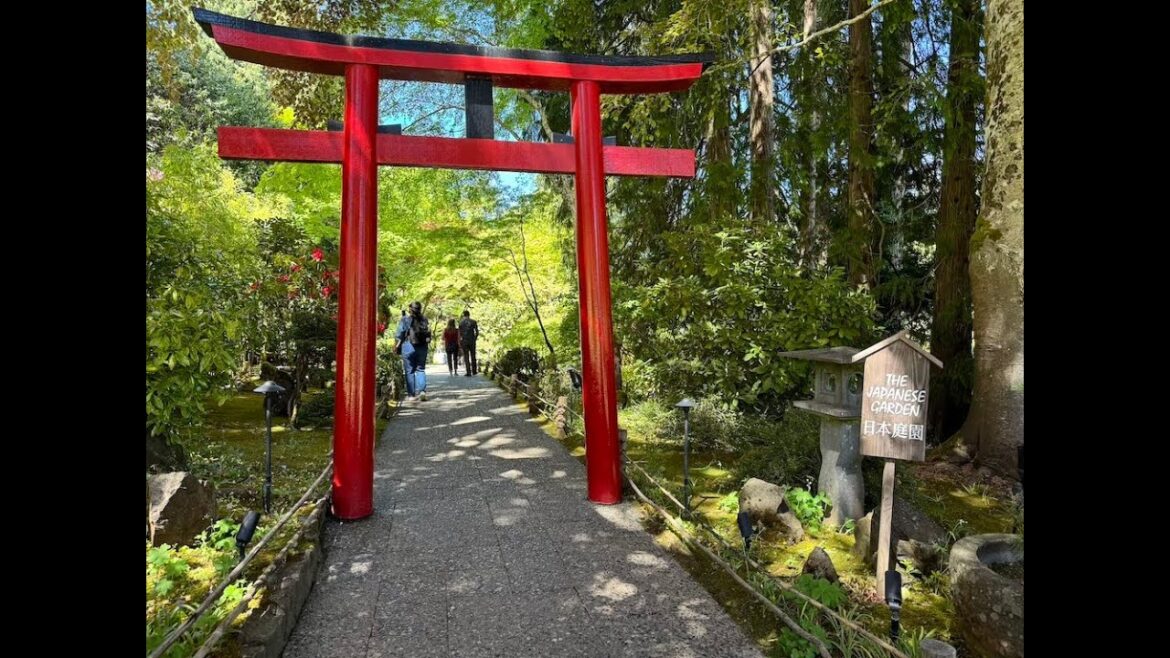 Butchart Japanese Garden Tour By a Japanese Style Pruning Expert Butchart Japanese Garden Tour By a Japanese Style Pruning Expert