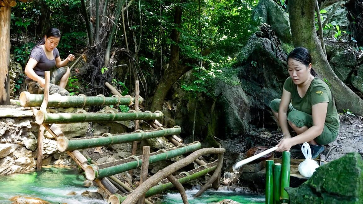 Vegetable Gardening, Watering System Relaxing Bath After A Tired Day At Work