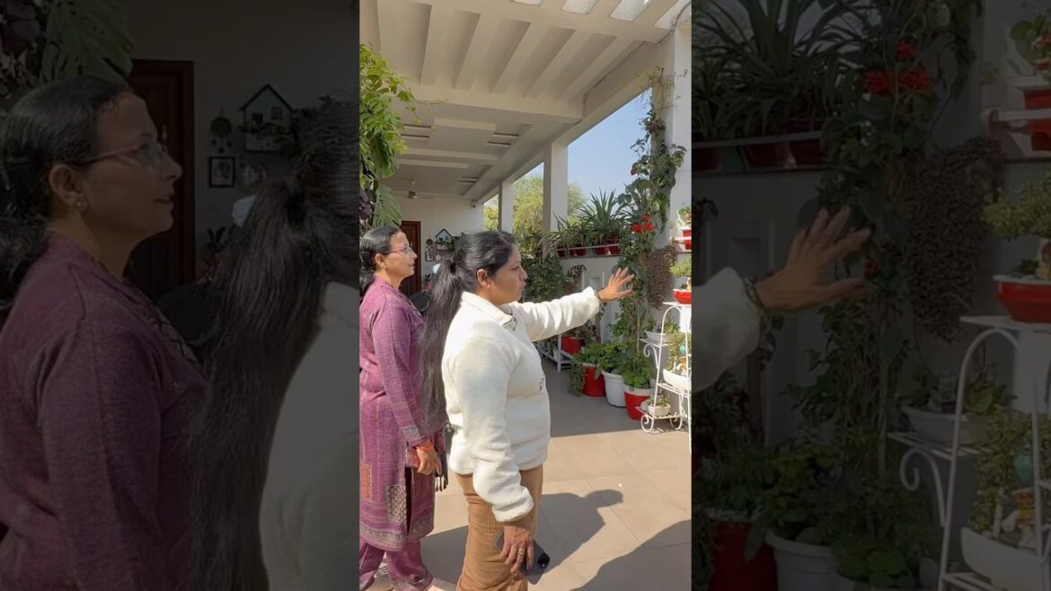 Garden tour #gardeningtips #garden #gardendecor #shorts#youtubeshorts #viralshort