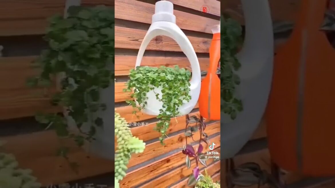Innovative Gardening: Transforming Plastic Bottles into Sustainable Green Solutions #shorts #love