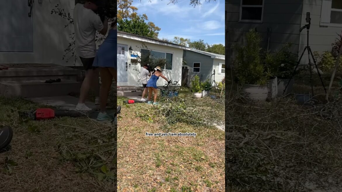 hopefully the front of our house will be beautiful soon 🥹