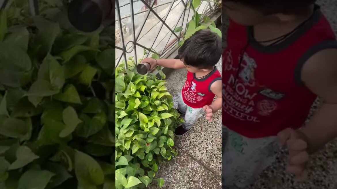 Hello plants#shortsvideo#trendingshorts#naturelovers#garden#babyboy#target
