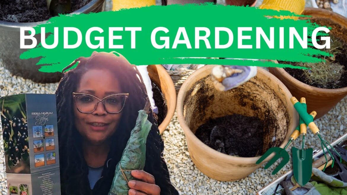 POUNDLAND NEW GARDEN RANGE | Haul and Planting Up