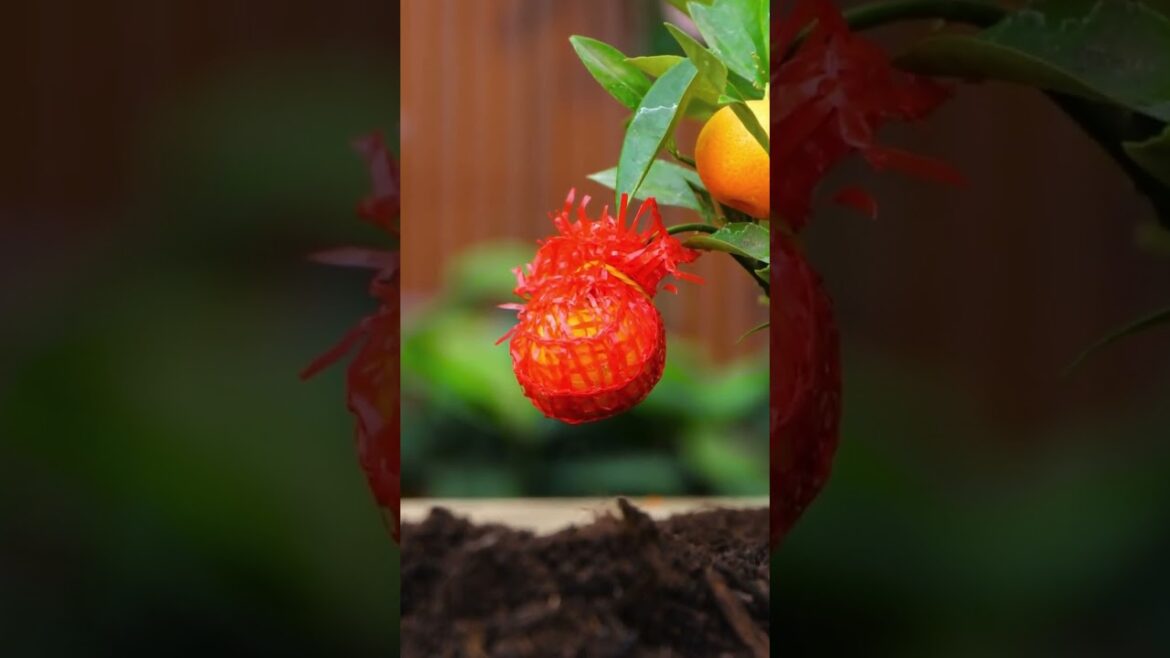 3 tips to make your garden prettier #hacks #gardening