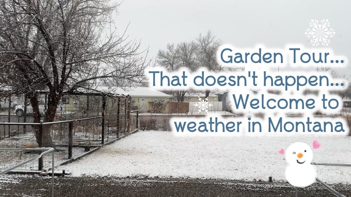 Garden Tour! Ya maybe not.  How about some snow instead lol Plan Change!