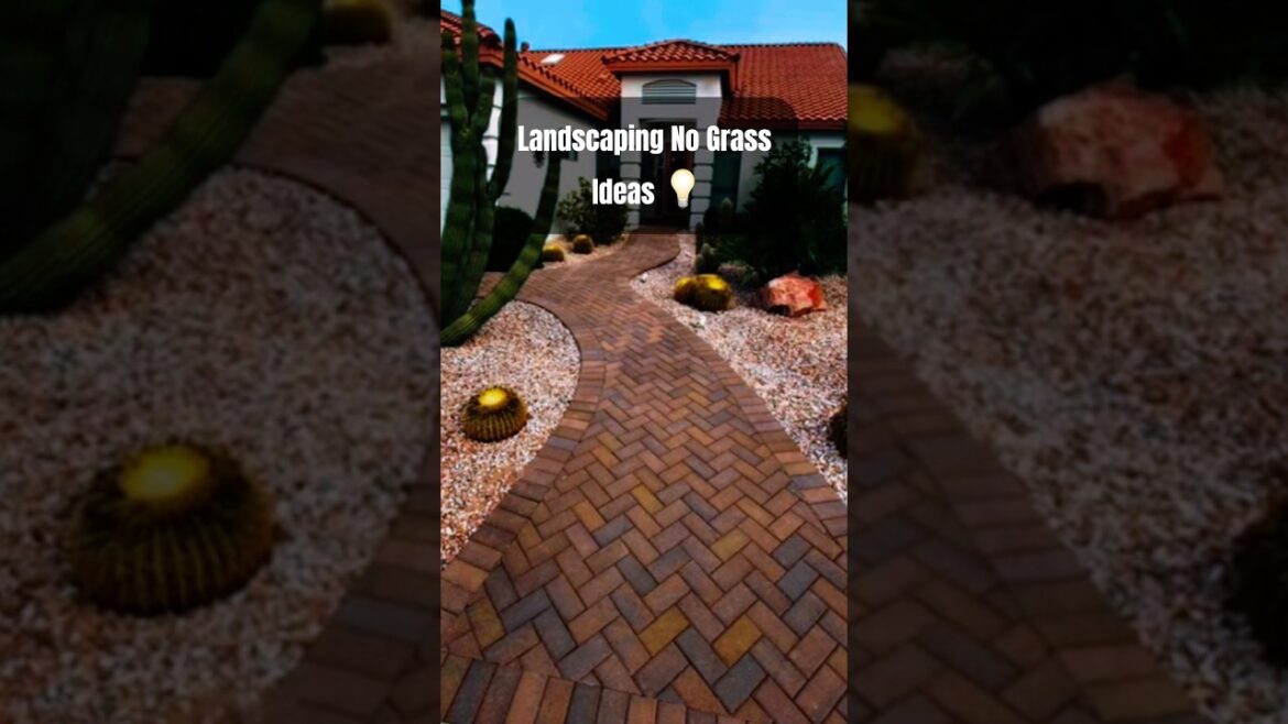 Landscaping No Grass Ideas 💡#landscapingideas #shorts