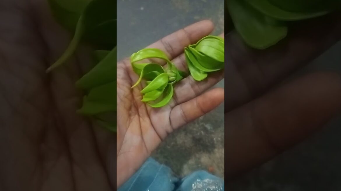 hair care  tips #shorts #selfcare #youtube