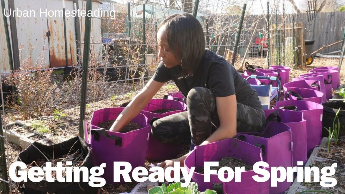 Grow Bag Soil Mix & How Much The Soil Cost Me | Seeds I Start 4 Wks. Before Last Frost