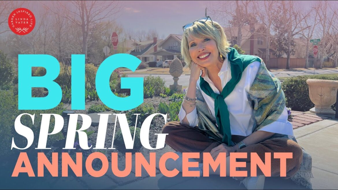 My Big Spring Announcement 📣