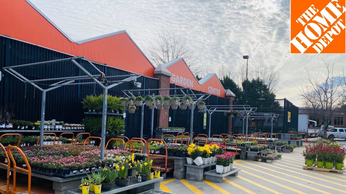 Home Depot Garden Perennials, Annuals, Vegetables Herb, Berries, Shrub, Evergreen, Flower Fruit Tree Home Depot Garden Perennials, Annuals, Vegetables Herb, Berries, Shrub, Evergreen, Flower Fruit Tree