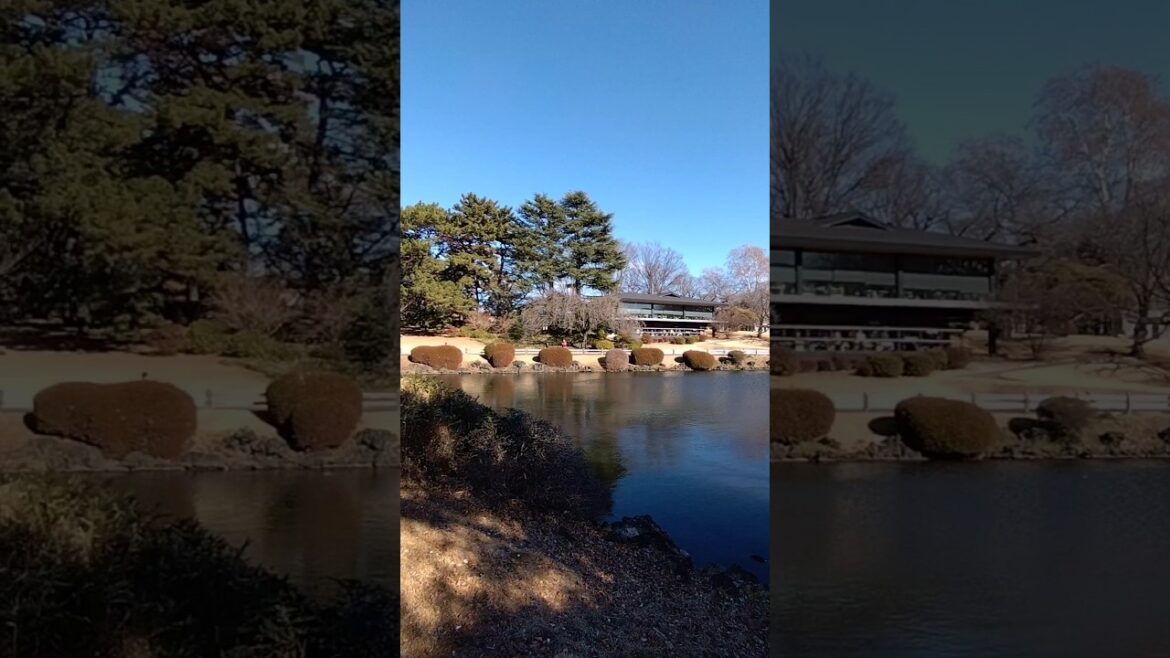 Shinjuku Gyoen National Garden: A Tranquil Oasis in the Heart of Tokyo #japan #tokyo #vlog