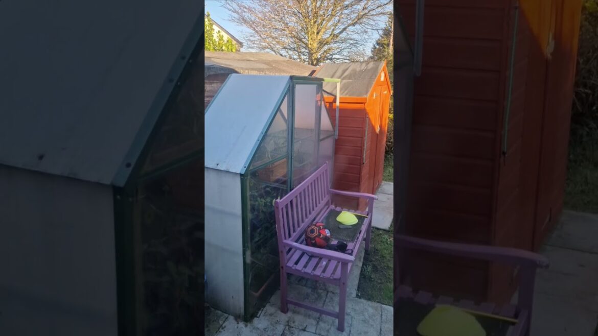 No Big Plans for the Garden #poplars #savemoney No Big Plans for the Garden #poplars #savemoney