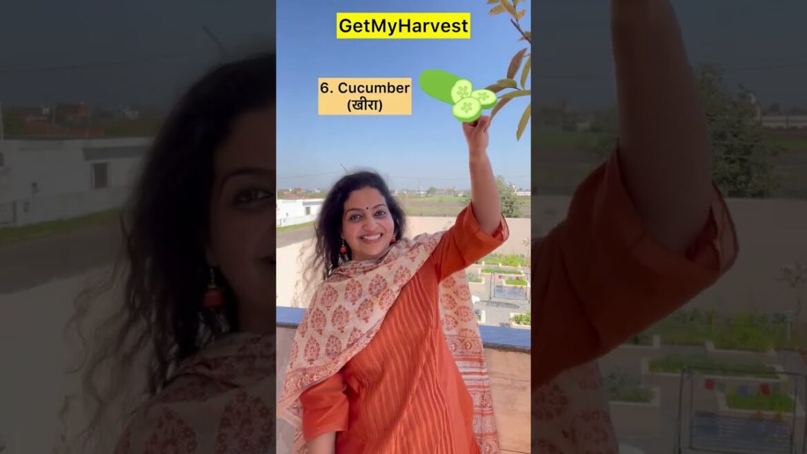 March mein yeh seeds lagao | Summer Vegetable Seeds to sow in March #organicgardening