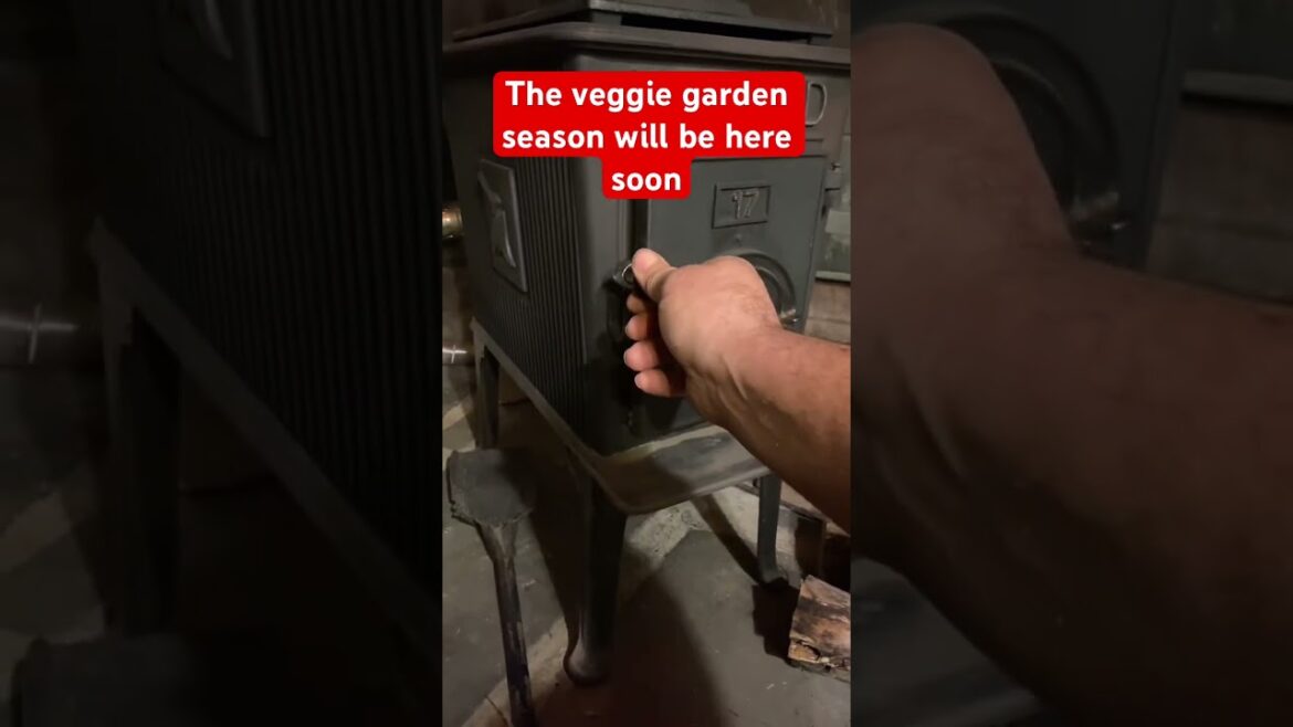 Thinking about the hoop house#garden #vegetablegardening #greenhouses #growyourownfood