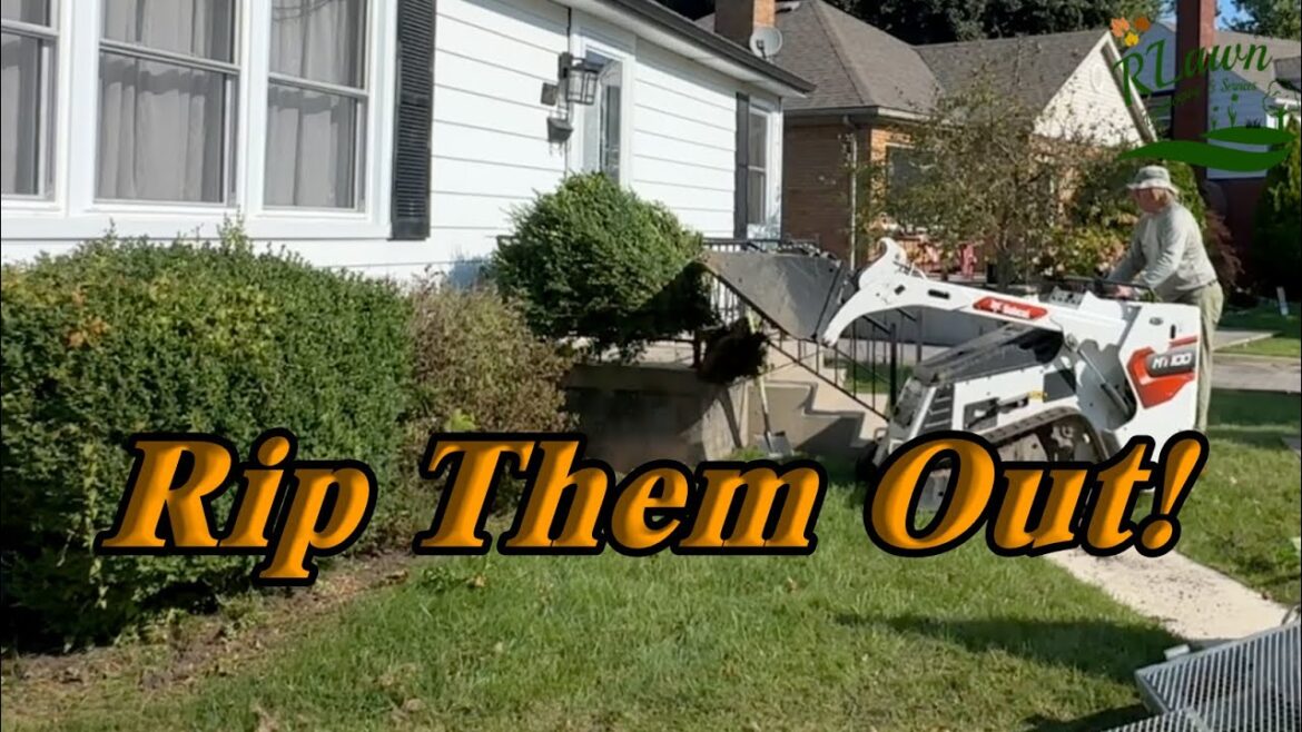 I Want These Gone!!! Front yard makeover.  #makeover #landscaping