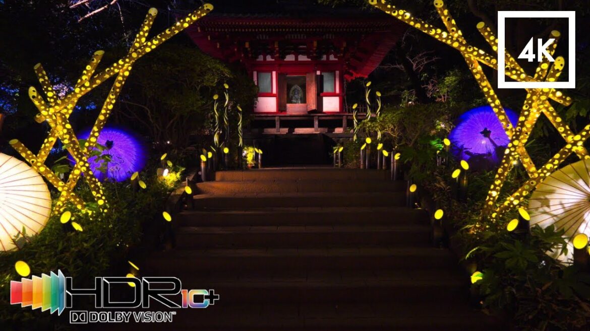 Tokyo Japan - Walking through an illuminated Edo-period Japanese garden // 4K HDR