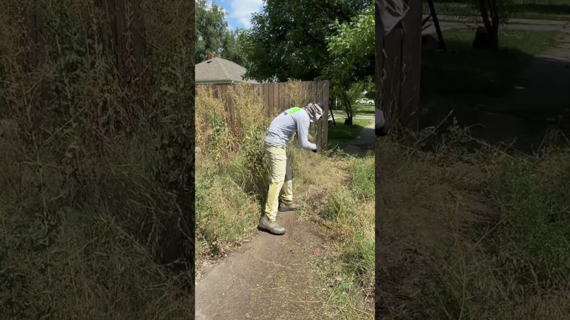 My knocks ECHOED through the house, but after my work it was a HOME once more