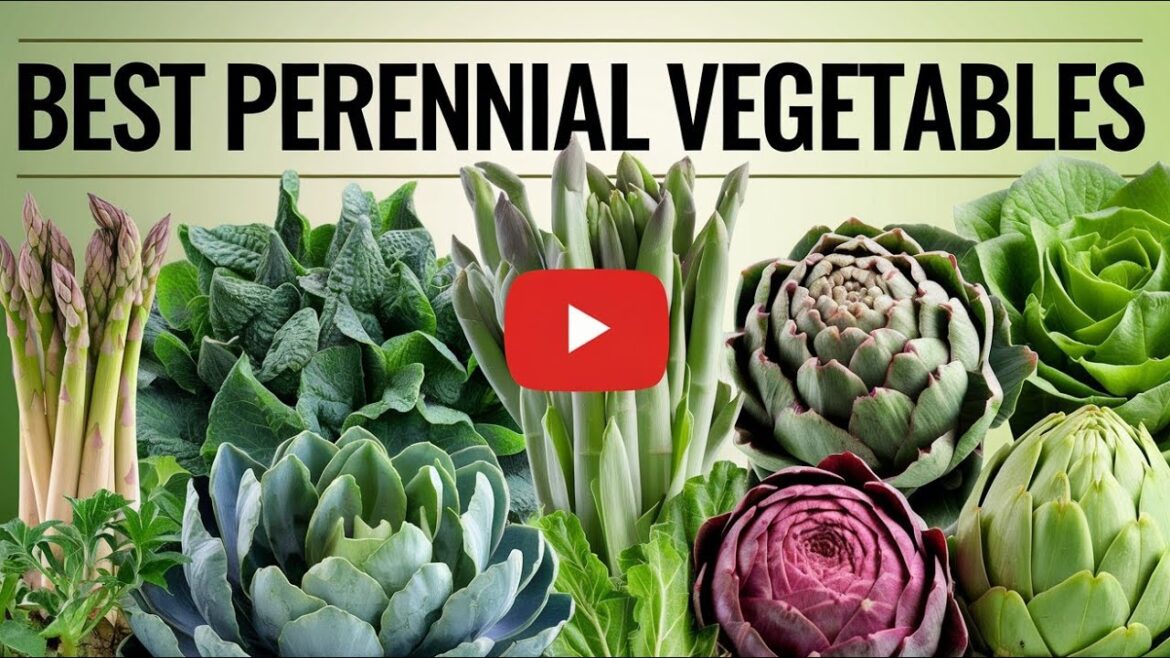 Best 15 Must Grow Perennial Vegetables - To Harvest Year After Year...