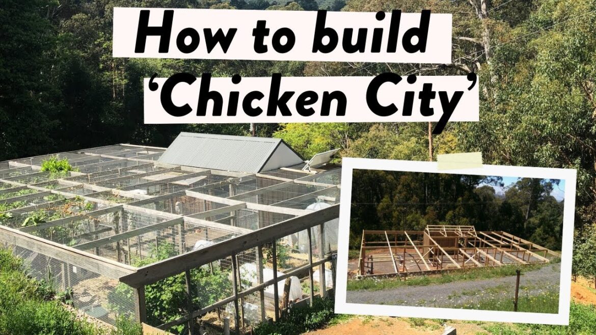 Ultimate Chicken Coop Build: Answering Your Questions on Design, Roofing & Predator Proofing! Ultimate Chicken Coop Build: Answering Your Questions on Design, Roofing & Predator Proofing!