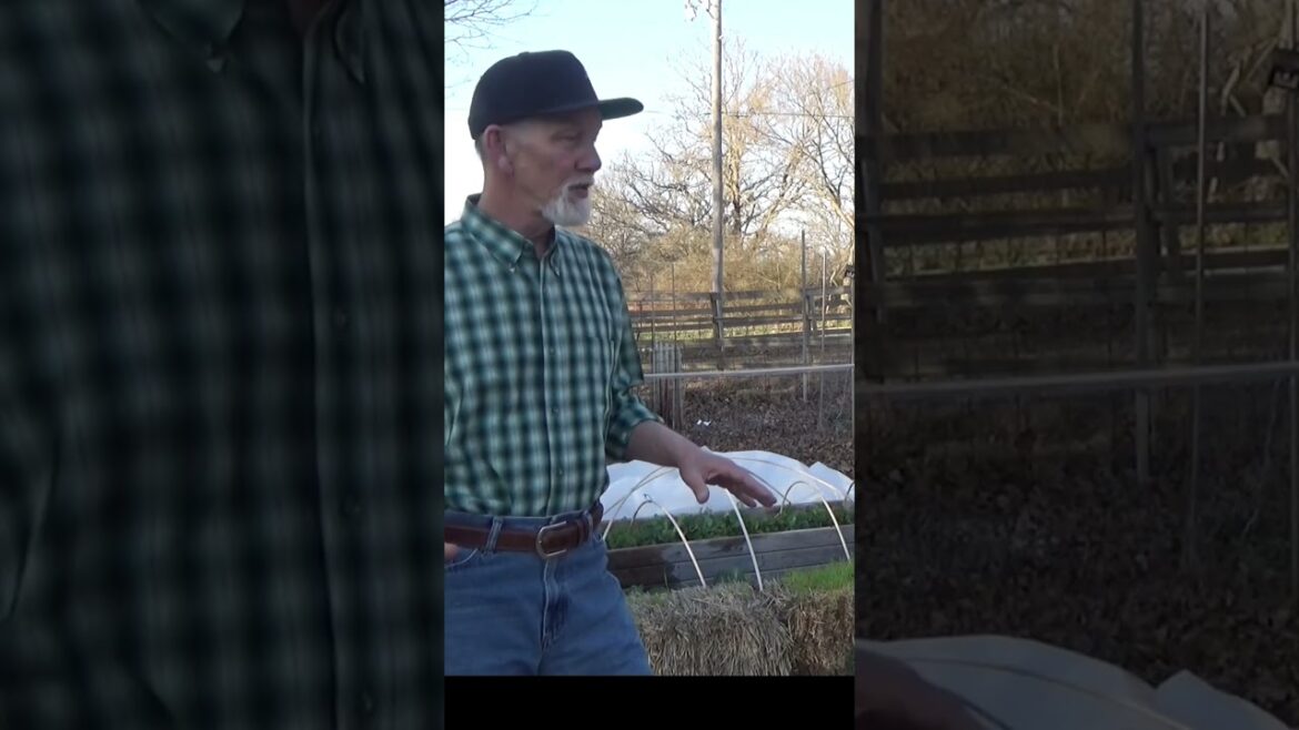 You need to feed a raised bed #vegetablegardening #garden #gardeningtips #healthysoil
