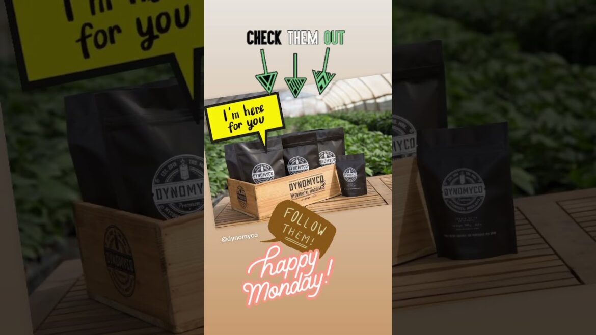 Check them out , show support to your garden supply  , see how the root just blow up 🤩💯