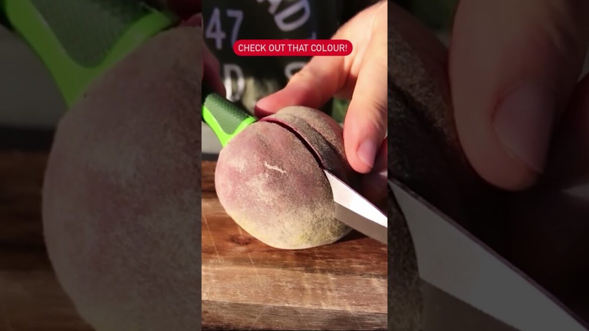 A Peach Like You’ve Never Seen 🍑🩸 A Peach Like You’ve Never Seen 🍑🩸