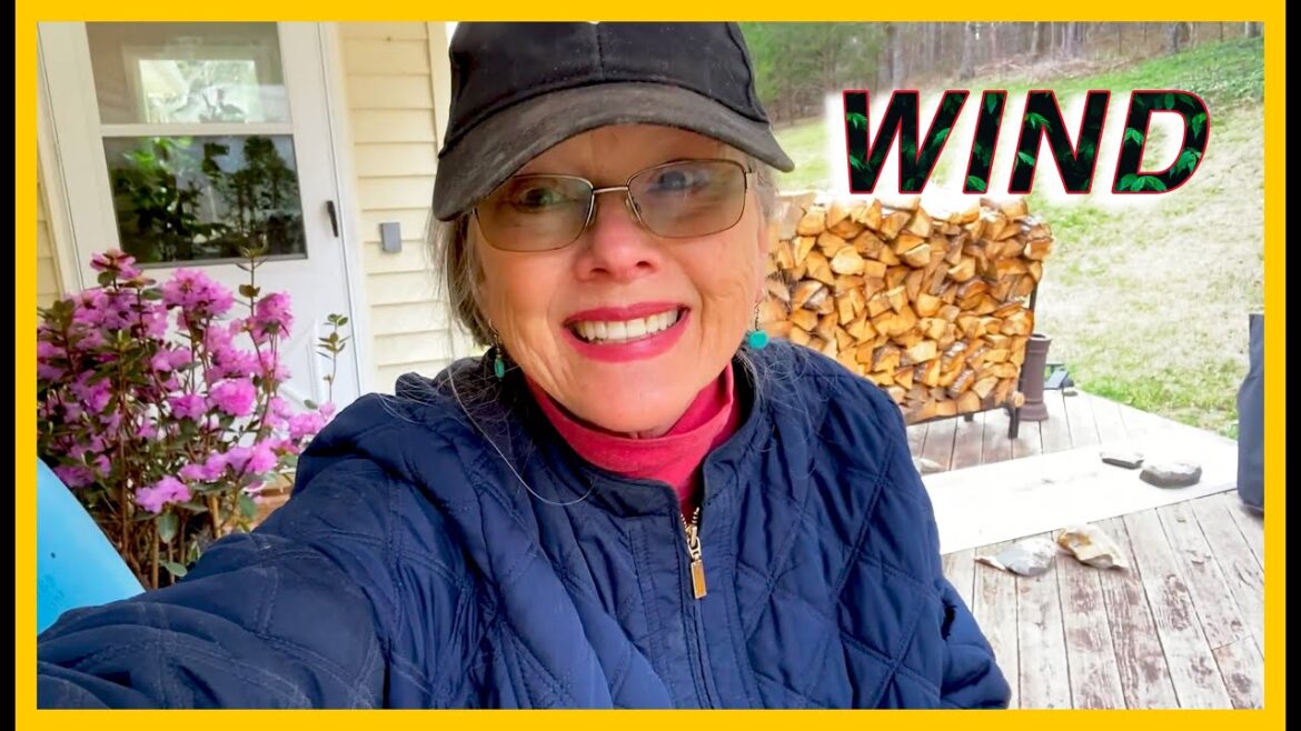 Kaye Kittrell: March Madness | Working in WIND | Getting the gardens ready March Madness | Working in WIND | Getting the gardens ready
