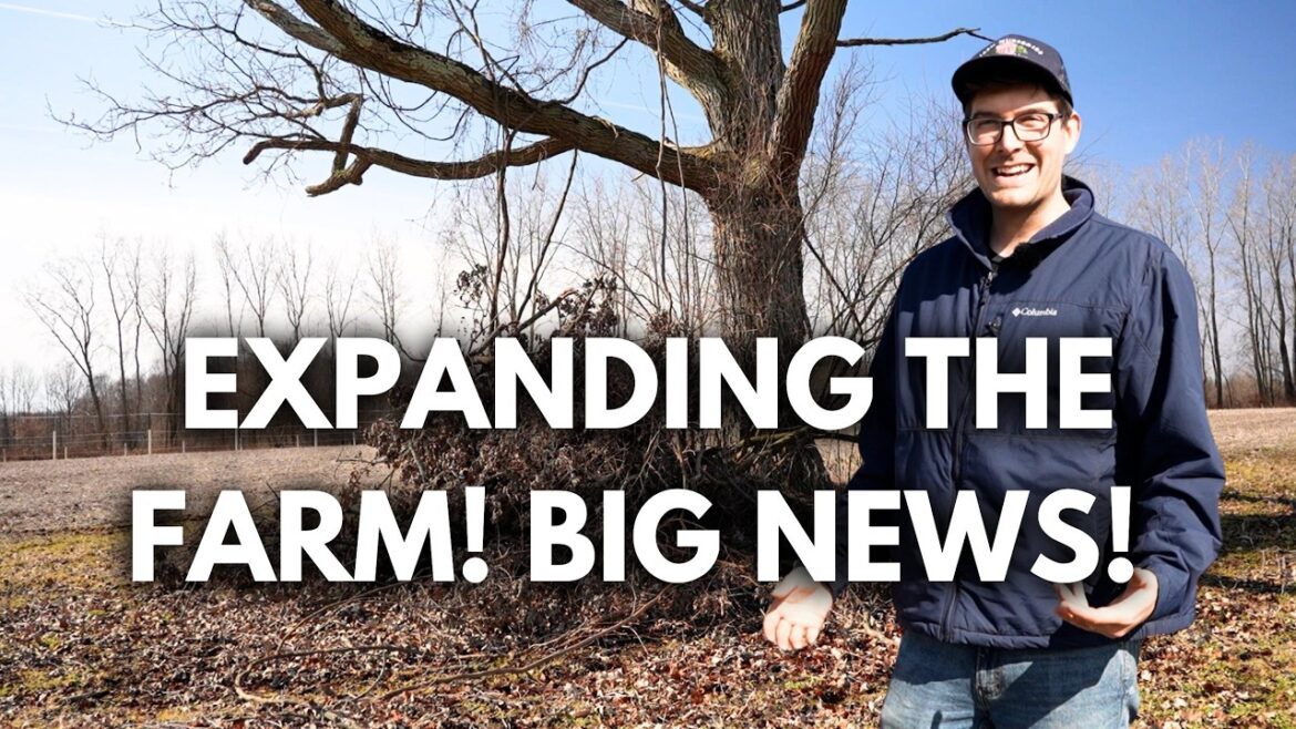 We Bought The REST of Our Farm!