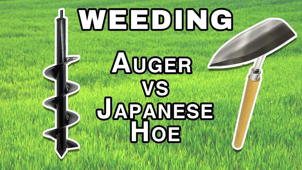 Epic Battle: Auger vs Japanese Hoe in Overgrown Flower Bed