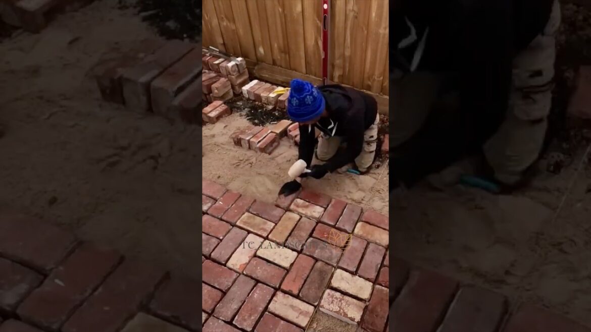 Paving a small courtyard. Bricks on sand. #backyarddesign #gardendesign #garden Paving a small courtyard. Bricks on sand. #backyarddesign #gardendesign #garden