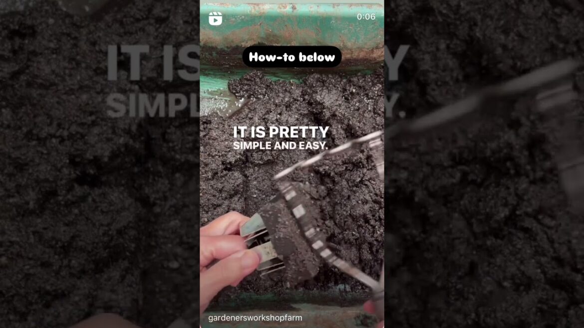 View all in the Shop: 🌱Completed Seed Starting Kit 🌱Soil Block Maker Kit 🌱Tools, seeds, View all in the Shop: 🌱Completed Seed Starting Kit 🌱Soil Block Maker Kit 🌱Tools, seeds,