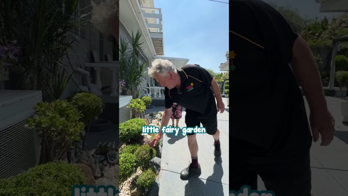 Catch a Glimpse of the Most Magical Fairy Garden.