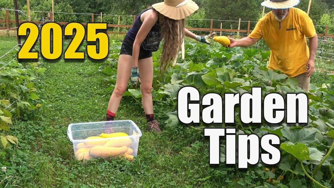 Vegetable Garden Tips - Compost Soil Seed Starting