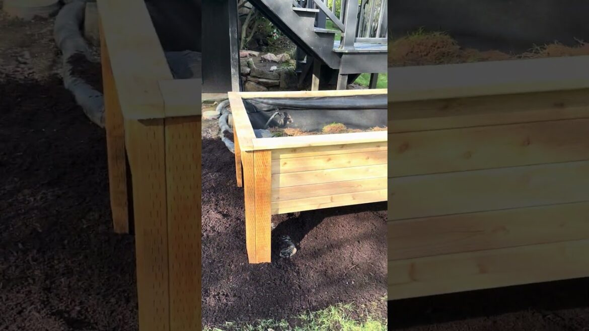 Raised Bed Gardening Projects with the Family: Transform Your Backyard Garden #raisedgardenbed