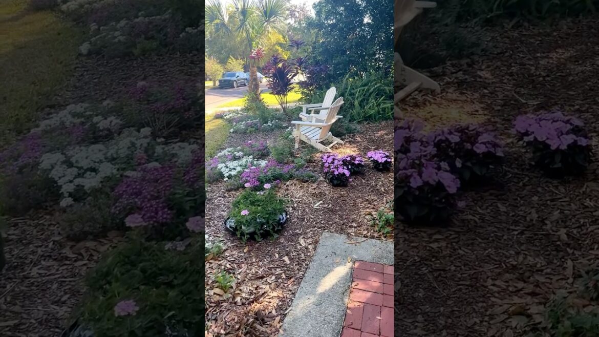 🌸Sneak Peek: This Weekend’s Planting Plans | Flower Garden Inspo #gardening #gardenmakeover #shorts