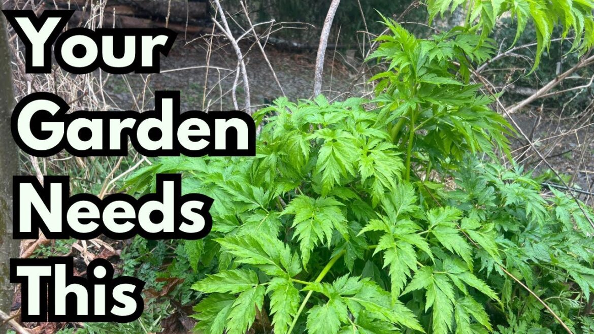 DISCOVER the Secret Celery Variety You Never Knew Existed! DISCOVER the Secret Celery Variety You Never Knew Existed!