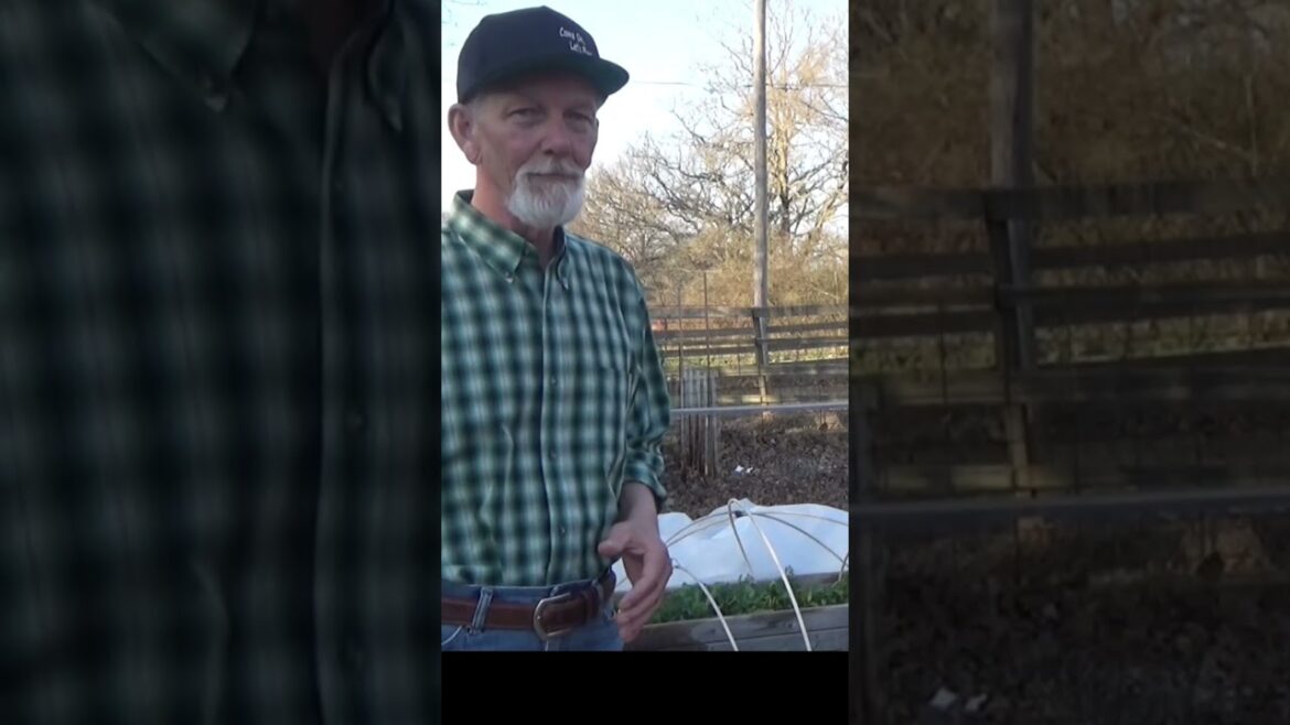 Pro for deep mulch and raised beds #vegetablegardening #garden #gardeningtips #healthysoil Pro for deep mulch and raised beds #vegetablegardening #garden #gardeningtips #healthysoil